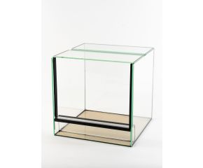 Budget Spinnen Terrarium 10x10x10