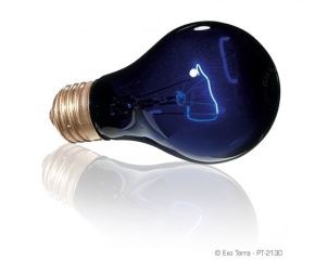 Exo Terra Night Glo Bulb 50W