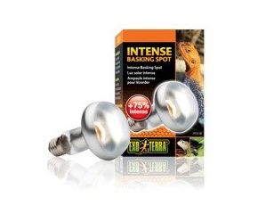Exo Terra Sun Glo Tight Beam Basking Spot Lamp 50 W