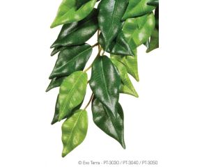 Exo Terra Ficus Silk L